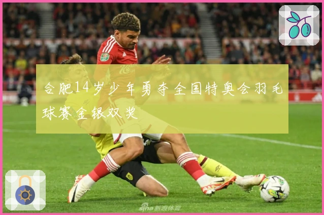 合肥14岁少年勇夺全国特奥会羽毛球赛金银双奖