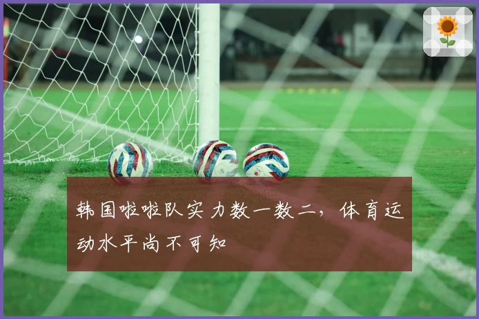 韩国啦啦队实力数一数二，体育运动水平尚不可知